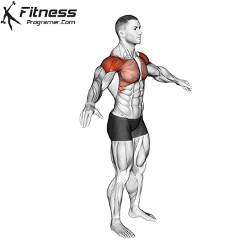 2. Arm Circles