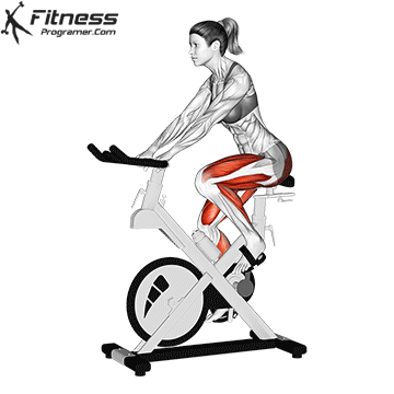 4. Cycle on the Bike