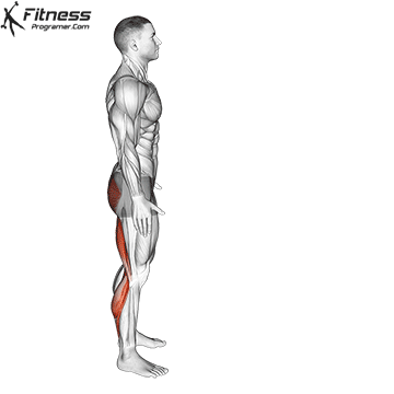 3. Leg Stretch