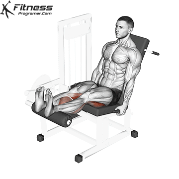 6. Leg Curl