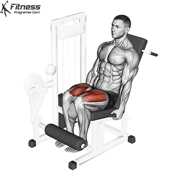 5. Leg Extension