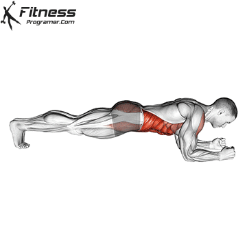 7. Plank Hold