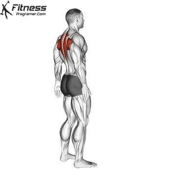 7. Back Stretch + Plank